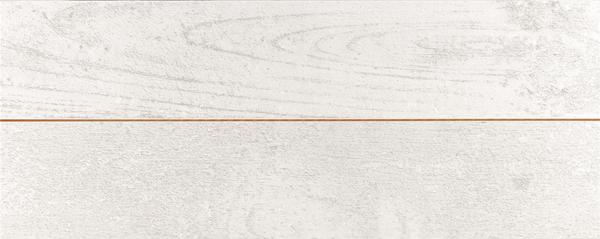 CONCRETE BLANCO LINEAL/10 20x50 cm, bal: 1,4m2, mat, na objednání